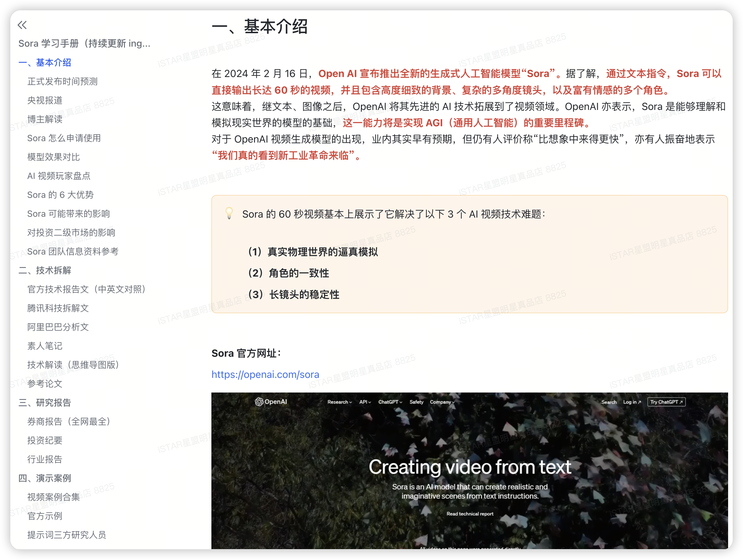 Sora 学习手册